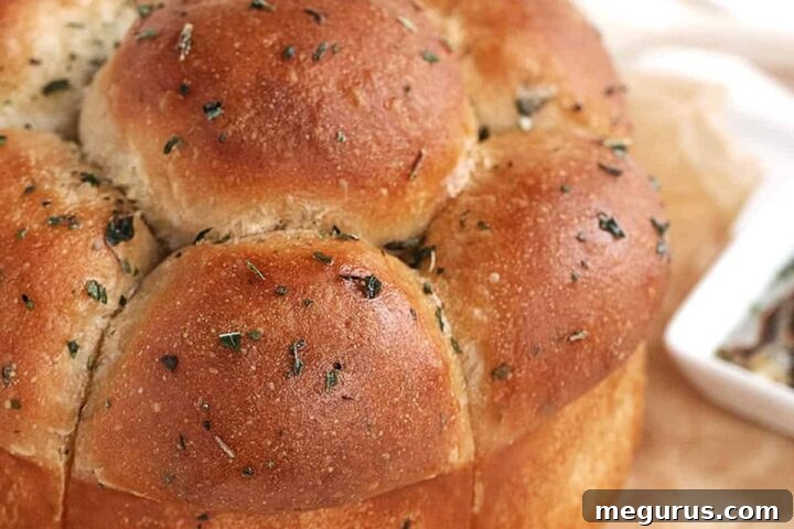 pull apart garlic and herb focaccia rolls