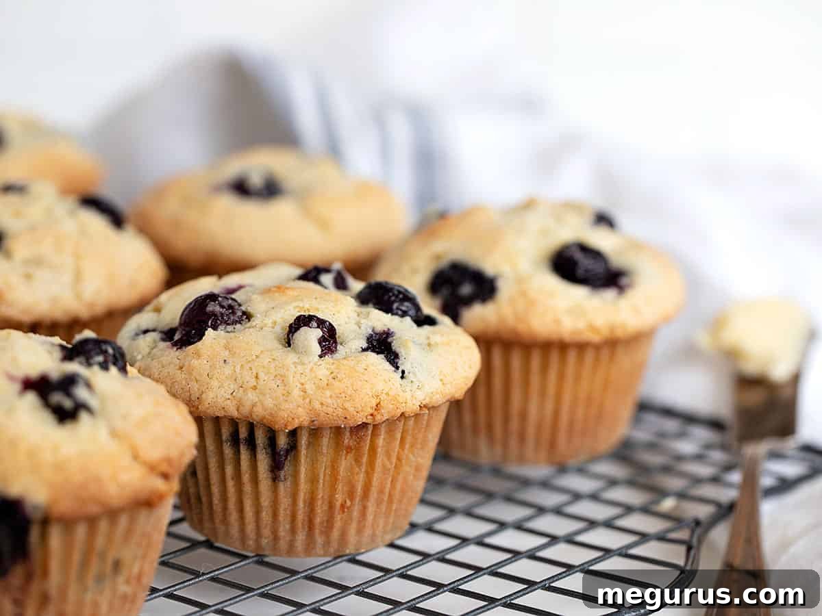Freshly baked buttermilk blueberry muffins cooling on a wire rack, with a knife and butter nearby.