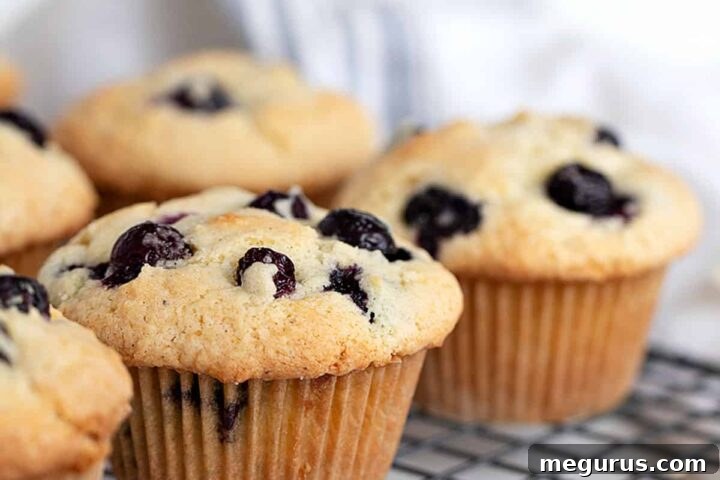 blueberry muffins on cooling rack with knife and butter