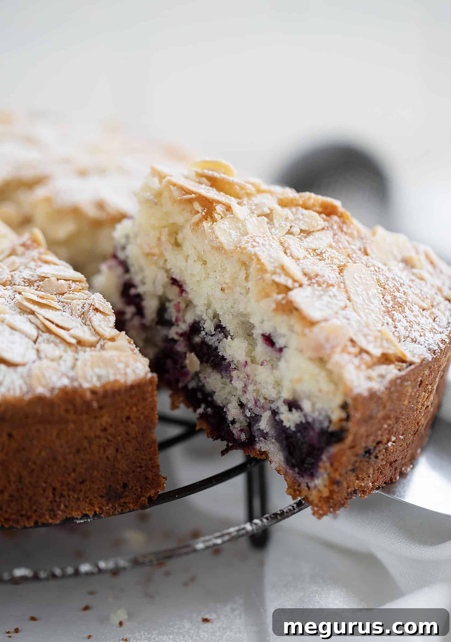 blueberry muffin cake sliced on cooling rack