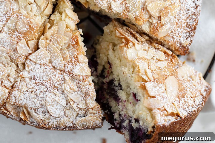 blueberry muffin cake sliced on cooling rack