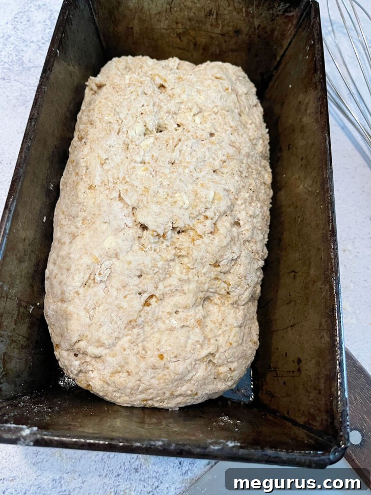 Shaping the loaf and placing it into a greased loaf pan.