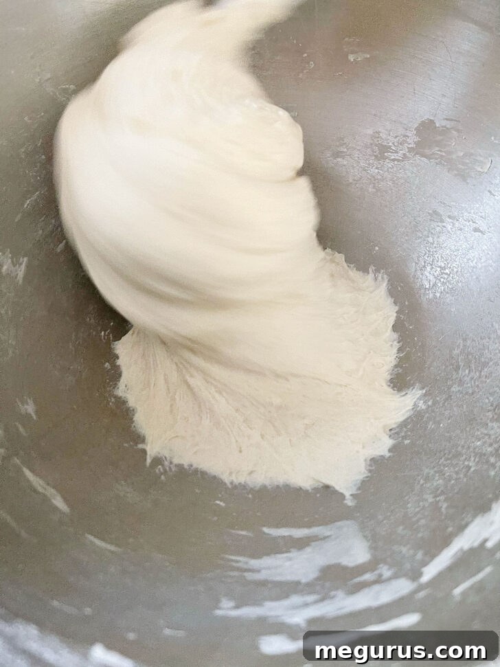 Blaa dough in mixer after mixing, sticky but cohesive.