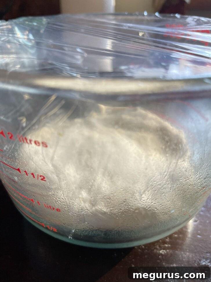 Dough rising in a covered measuring cup, showing significant expansion.