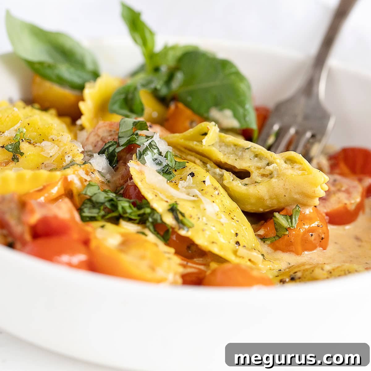 creamy cherry tomato and garlic ravioli in white bowl