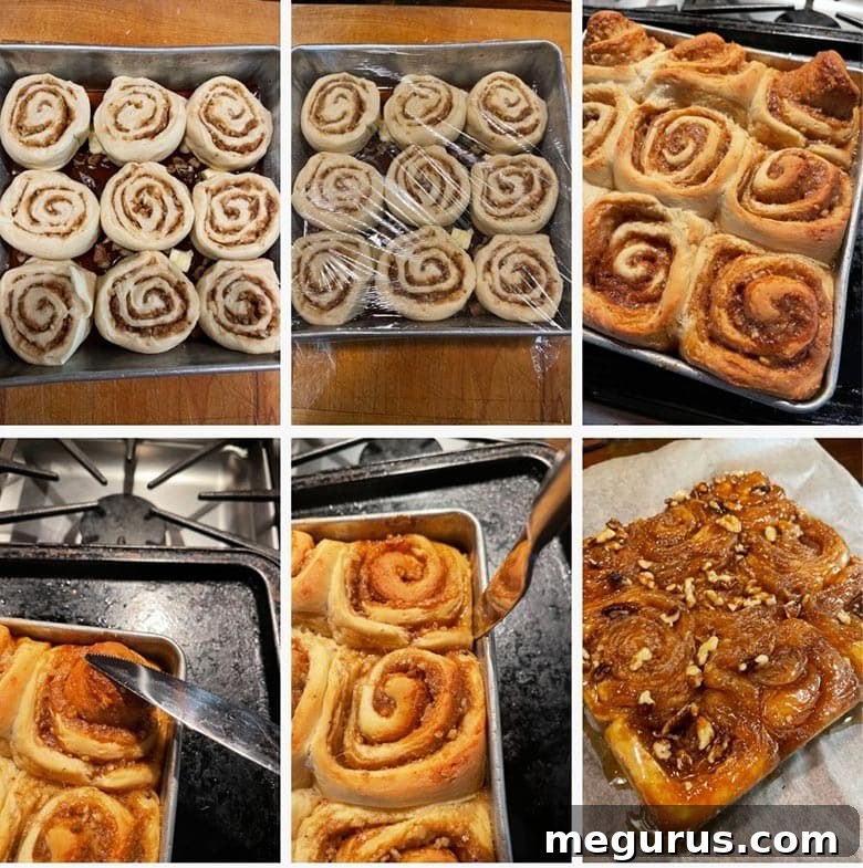 Photo collage showing the sticky buns being rolled, cut, placed in the pan, and rising before baking.