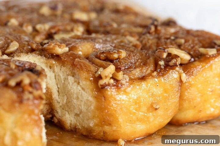 Overhead shot of freshly baked maple walnut sticky buns, glistening with maple glaze and topped with walnuts.