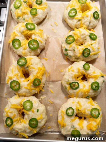Bagels topped with extra cheddar cheese and jalapeño slices, ready to be baked