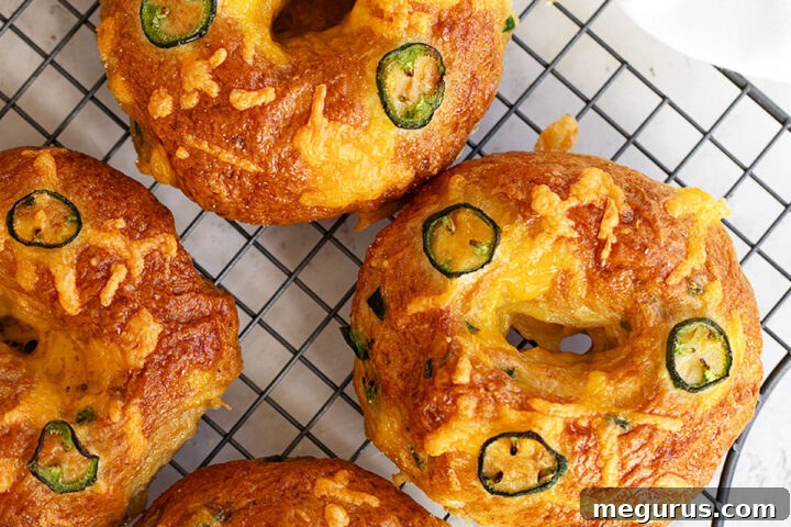 Jalapeño cheddar bagels cooling on a wire rack, ready to be enjoyed