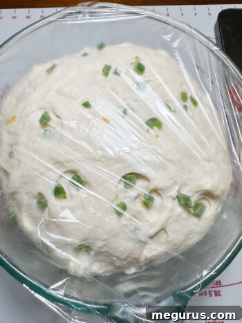 Bagel dough after successfully doubling in size and showing a light, airy texture