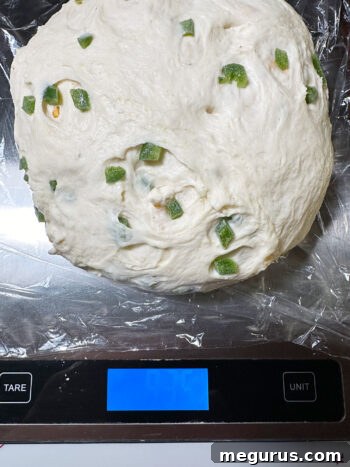 Weighing the entire bagel dough ball for precise portioning