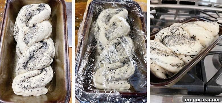Photo collage showing the two dough pieces being twisted together and placed in a loaf pan.