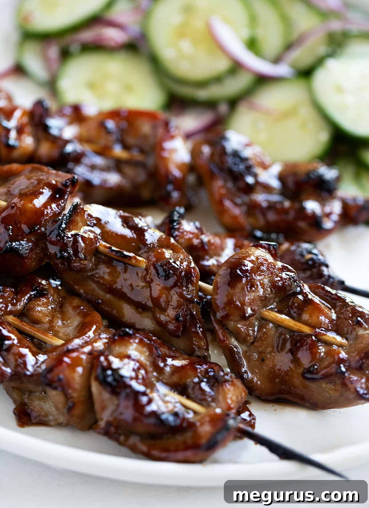 Grilled Yakitori chicken skewers served with fresh cucumber salad, close-up