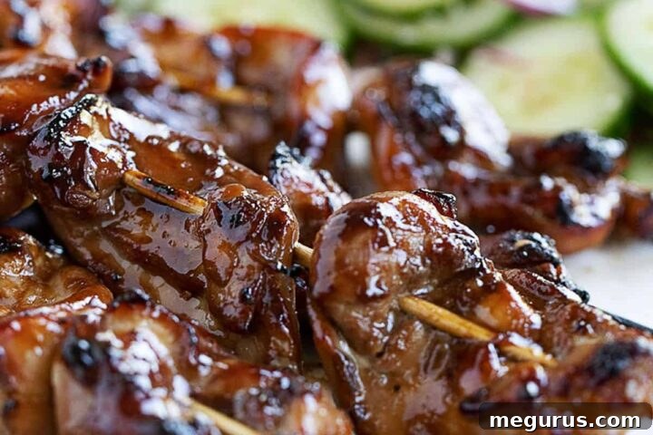 Plate of Yakitori chicken skewers with a side of cucumber salad