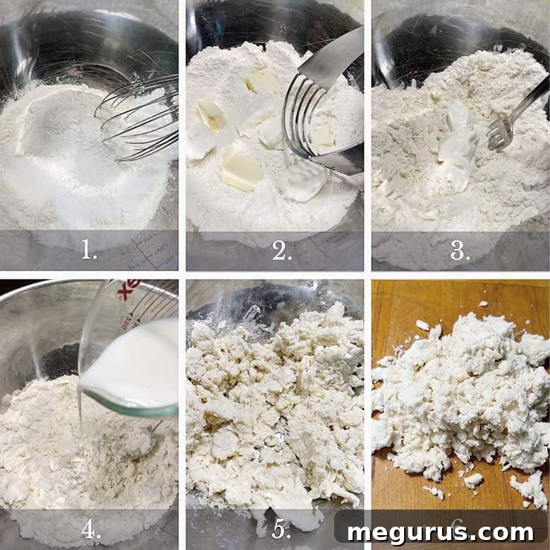 Step-by-step photos for making old-fashioned strawberry shortcake: whisking dry ingredients, cutting in fats, adding wet ingredients, forming dough.