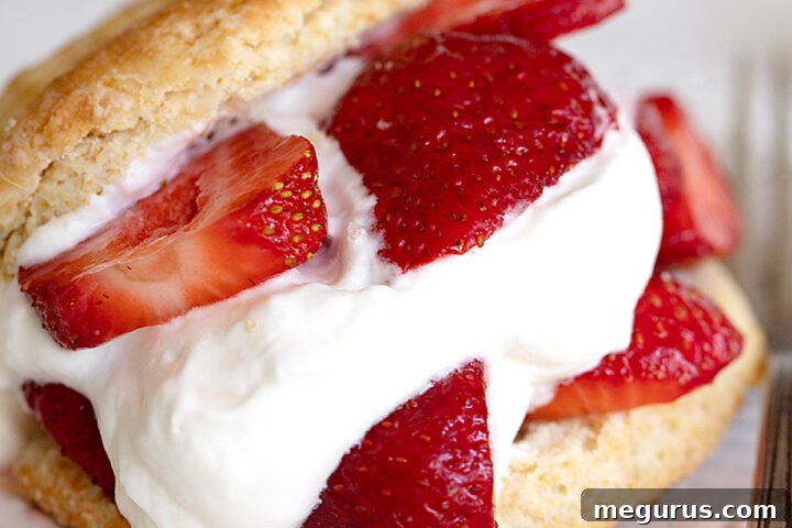 Old-Fashioned Strawberry Shortcake on a Plate with Berries
