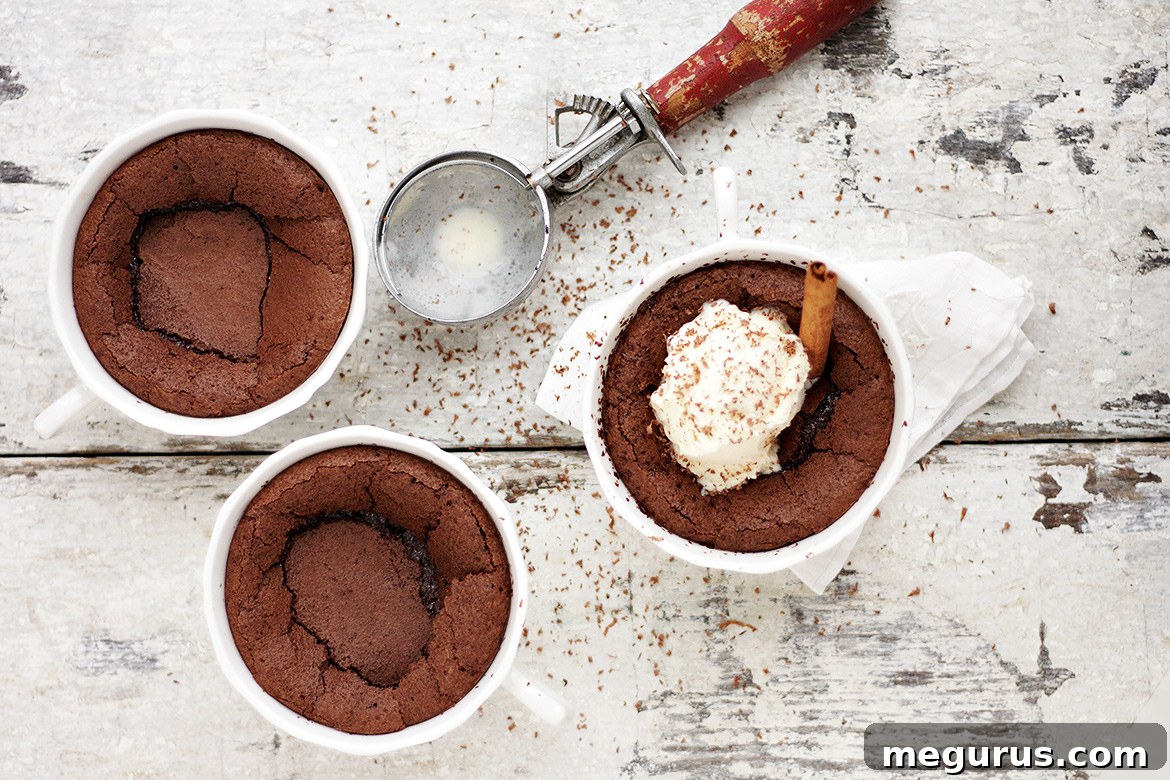Hot Chocolate Pudding Cakes