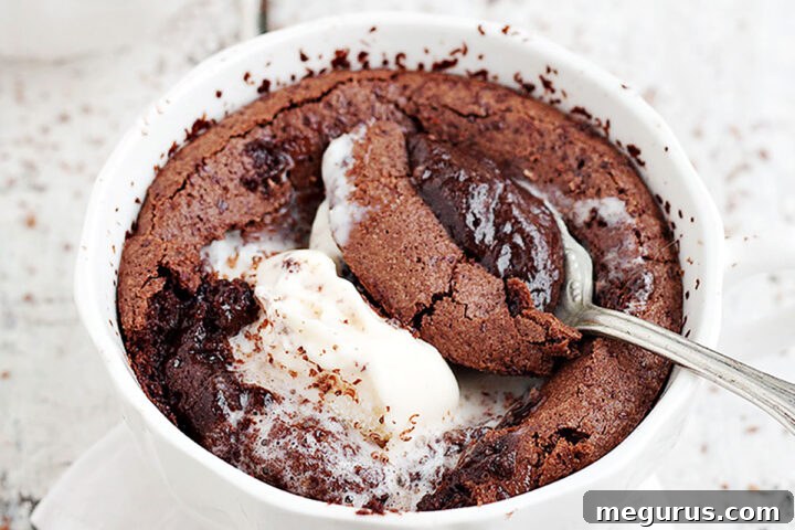 chocolate pudding cake in bowl with spoon