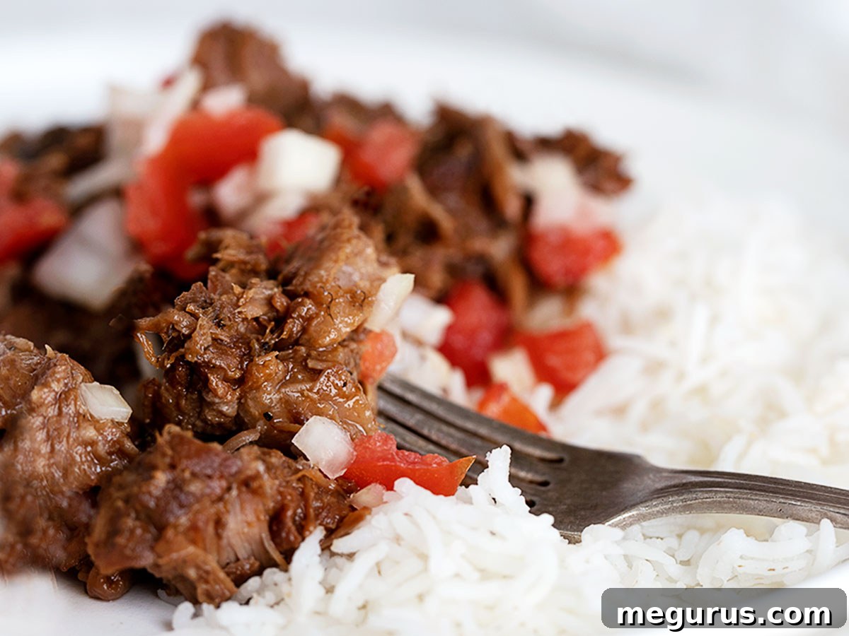 pork adobo on plate with rice and tomato onion garnish