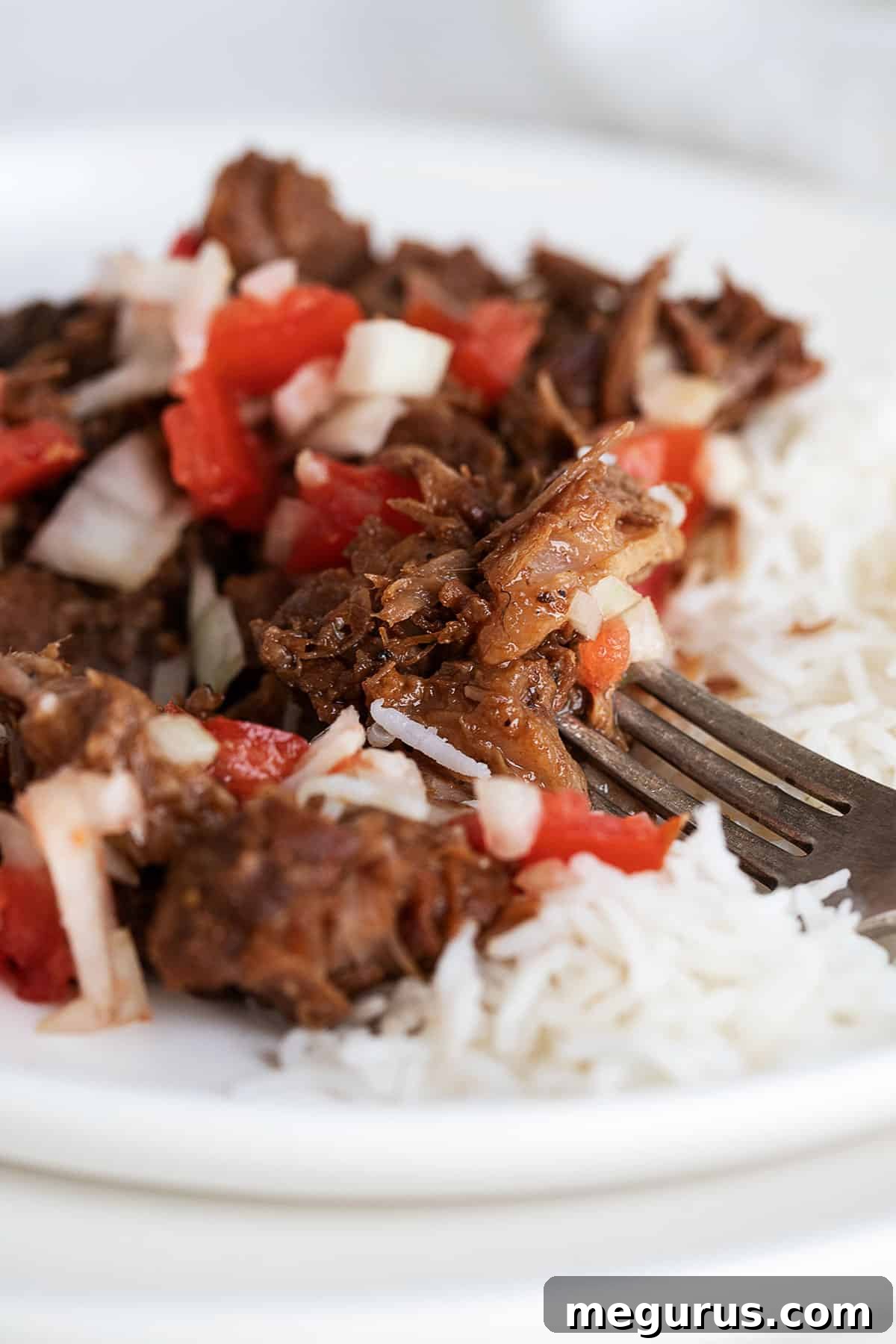 classic pork adobo on plate with rice and tomato onion topping