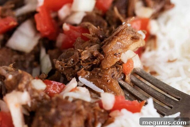 classic pork adobo on plate with rice and tomato onion topping