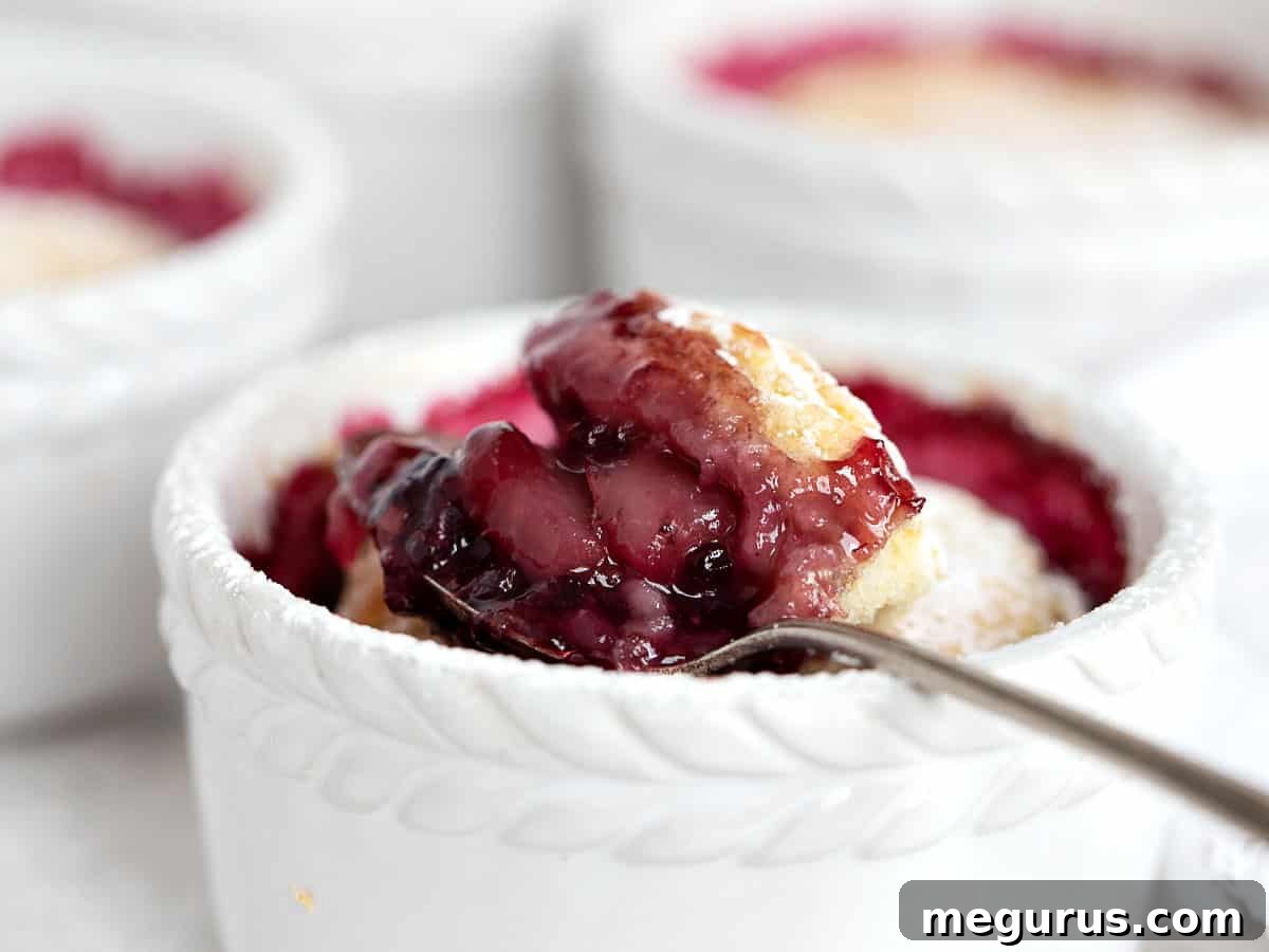 Individual blackberry pear cobblers in white ramekins, freshly baked and golden brown.