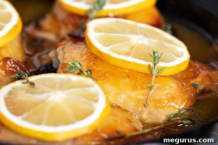 Glazed lemon chicken thighs in pan with lemon slices