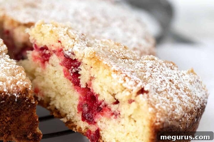 Delicious vanilla cranberry coffee cake, perfectly sliced on a cooling rack.