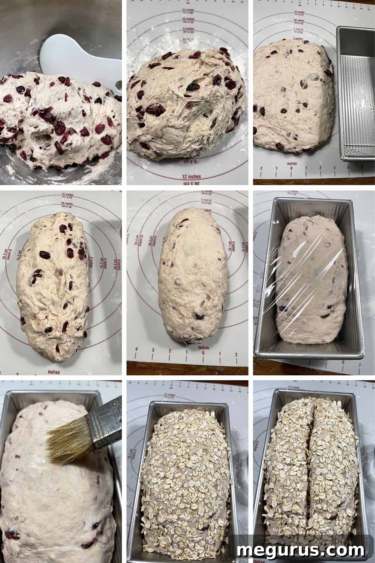 A collage of step-by-step photos showing the shaping, second rise, and preparation for baking cranberry oatmeal bread.