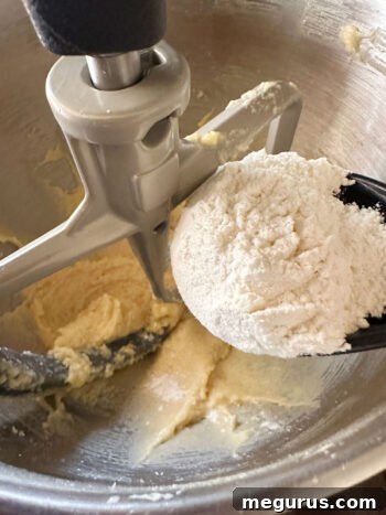 Gradually adding the dry flour mixture into the wet ingredients in a mixer, ensuring thorough but gentle combination for tender cookies.