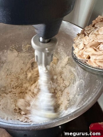 Gently folding large-flake rolled oats into the cookie dough, key for developing the classic chewy texture of old-fashioned oatmeal raisin cookies.