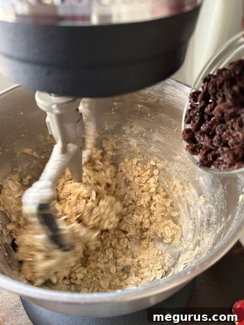 Folding plump raisins into the oatmeal cookie dough, ensuring even distribution for bursts of sweetness in every bite.