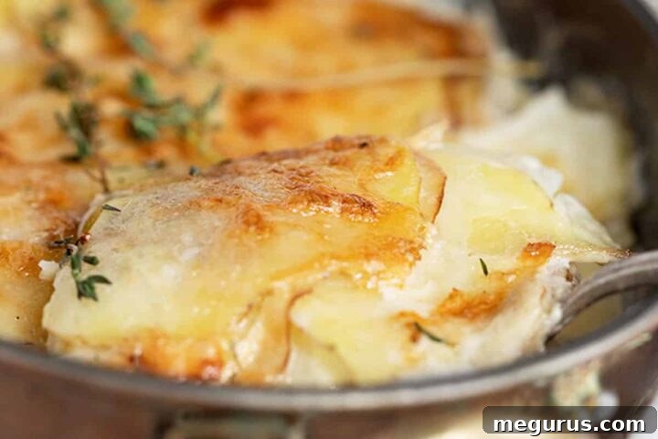 Pear Gruyere Potato Gratin in a baking dish