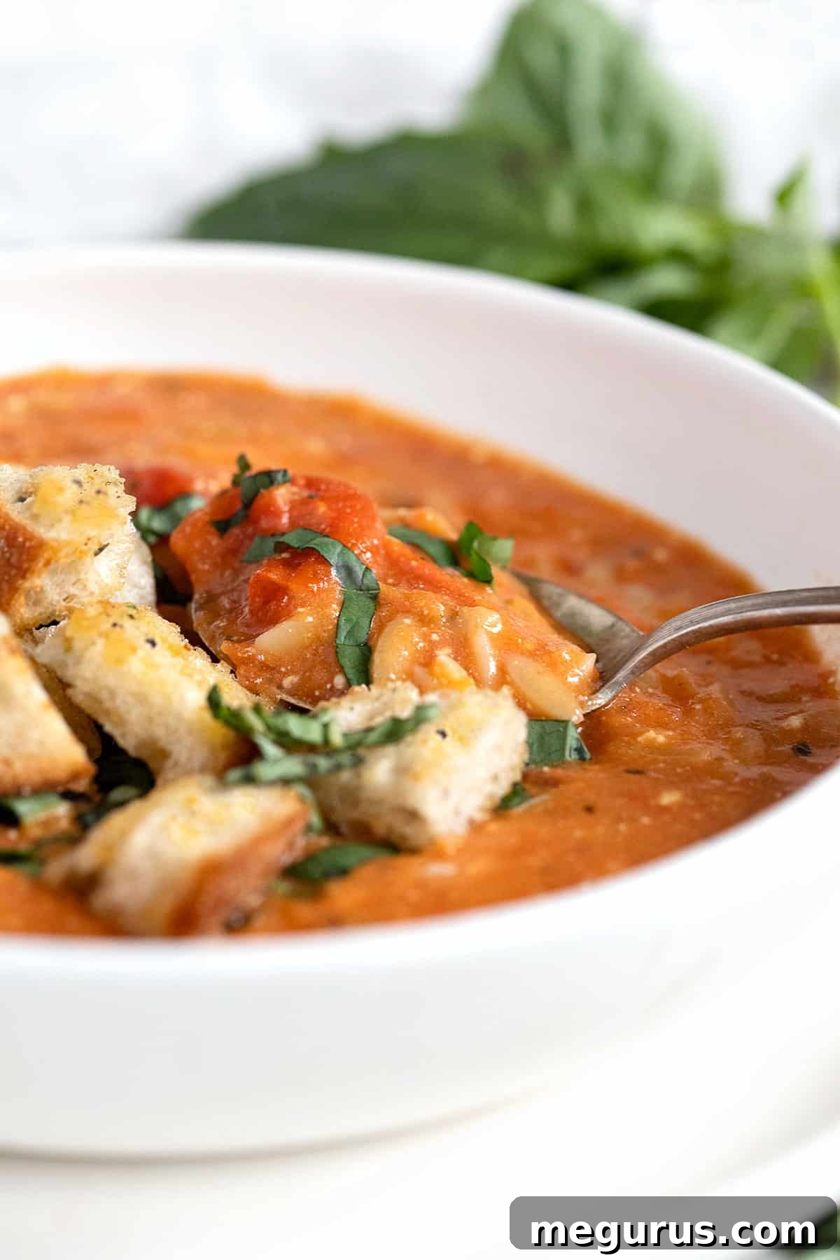 A close-up of feta tomato orzo soup in a white bowl, garnished with fresh basil and homemade croutons.