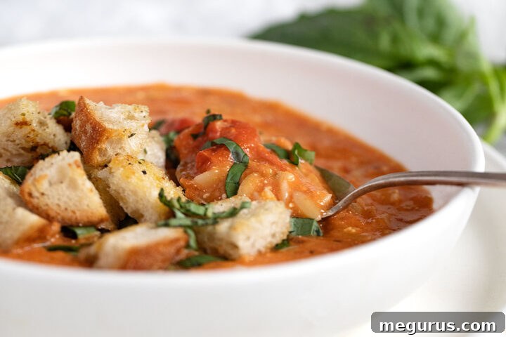 tomato feta orzo soup in bowl with spoon