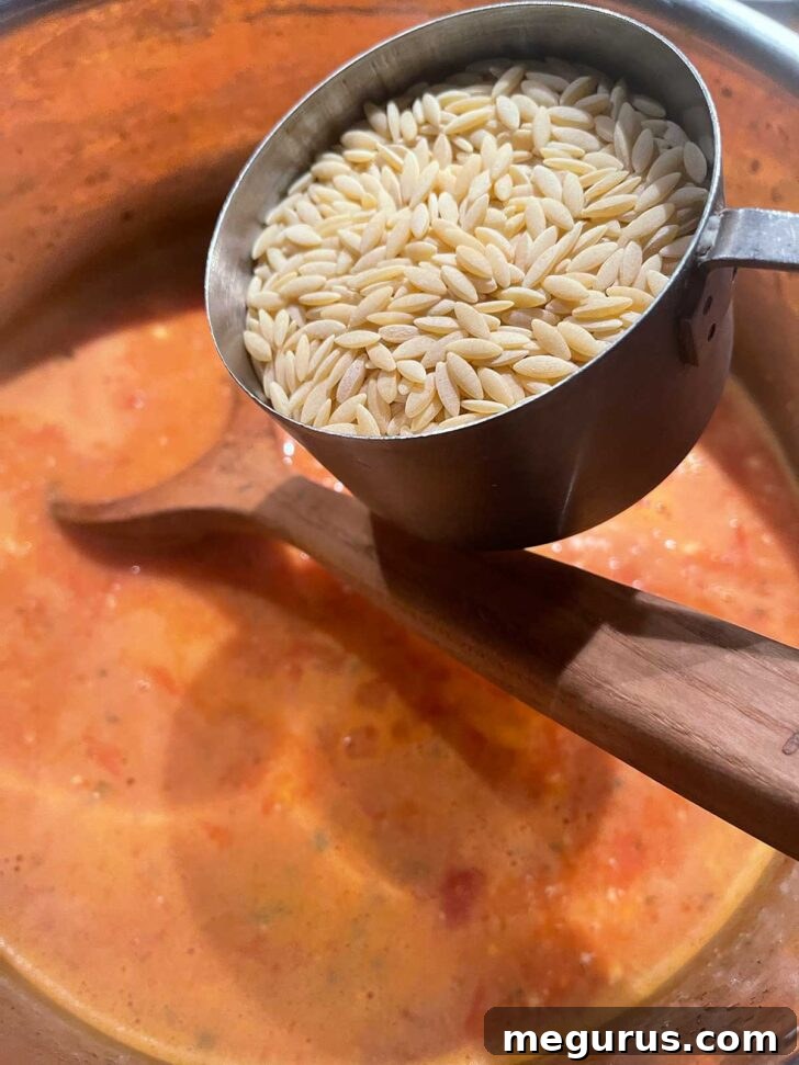 Adding orzo pasta to the simmering tomato soup.