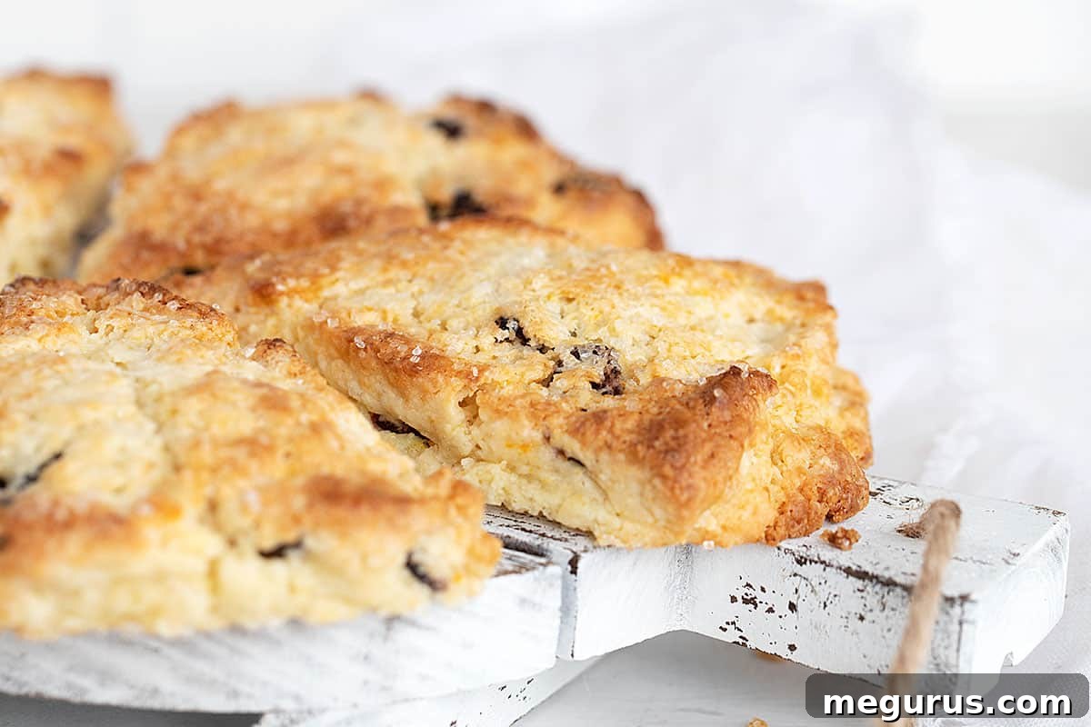 Freshly baked cranberry orange scones on a rustic wooden tray, ready to be enjoyed.