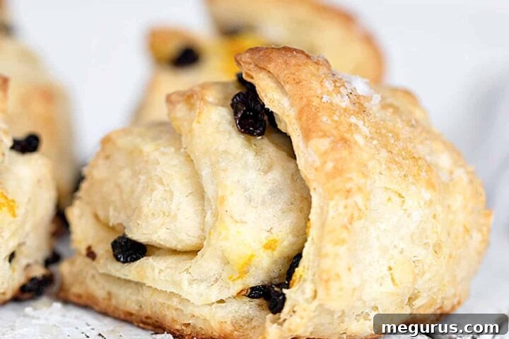 Platter of golden Irish scones with currants