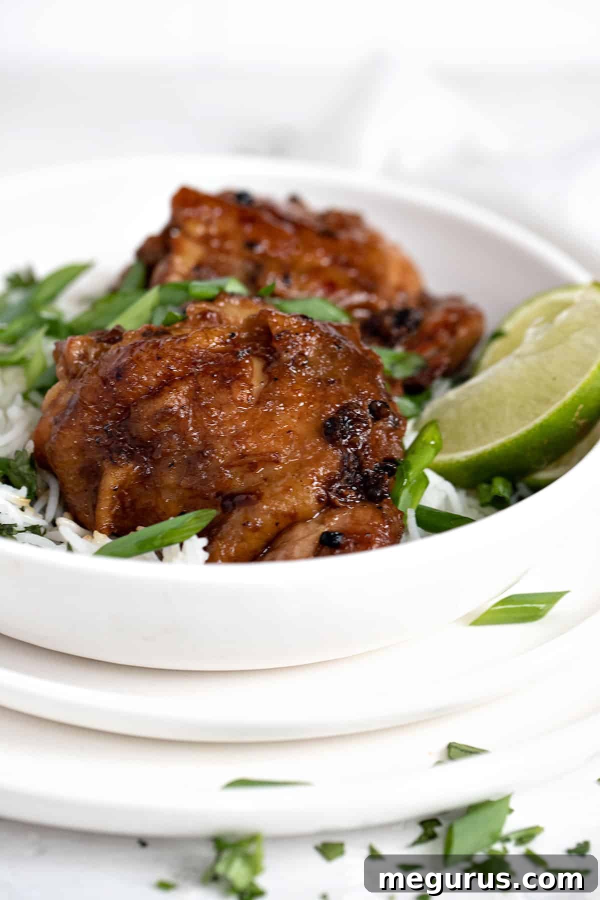 Close-up of a bowl of creamy Filipino Chicken Adobo with coconut milk, served with cilantro lime rice.