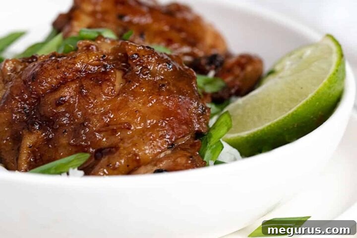 chicken adobo in bowl with rice