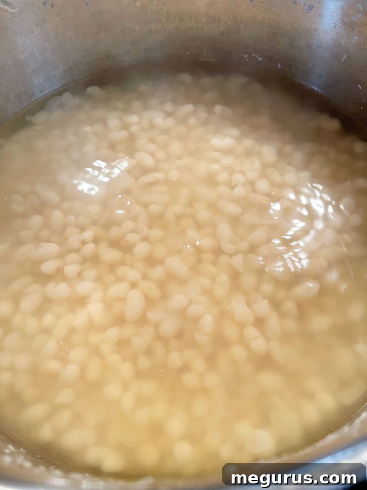 Beans after simmering in pot.