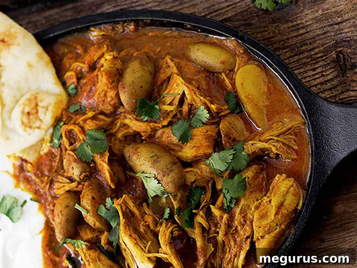 Hearty Indian Spiced Chicken Stew served with warm Naan bread on a rustic cast iron dish.