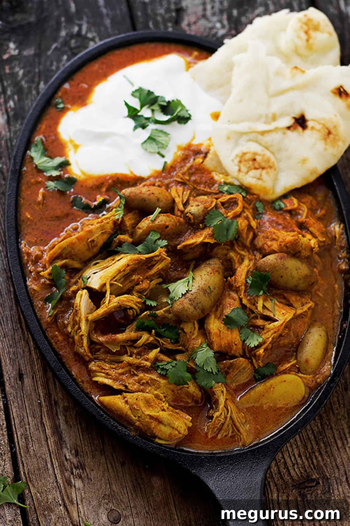 Close-up of Indian Spiced Chicken Stew with Naan bread on a cast iron serving dish, garnished with fresh herbs.