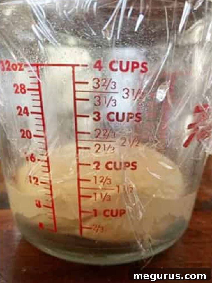Stromboli dough resting and rising in a measuring cup, indicating proper proofing.