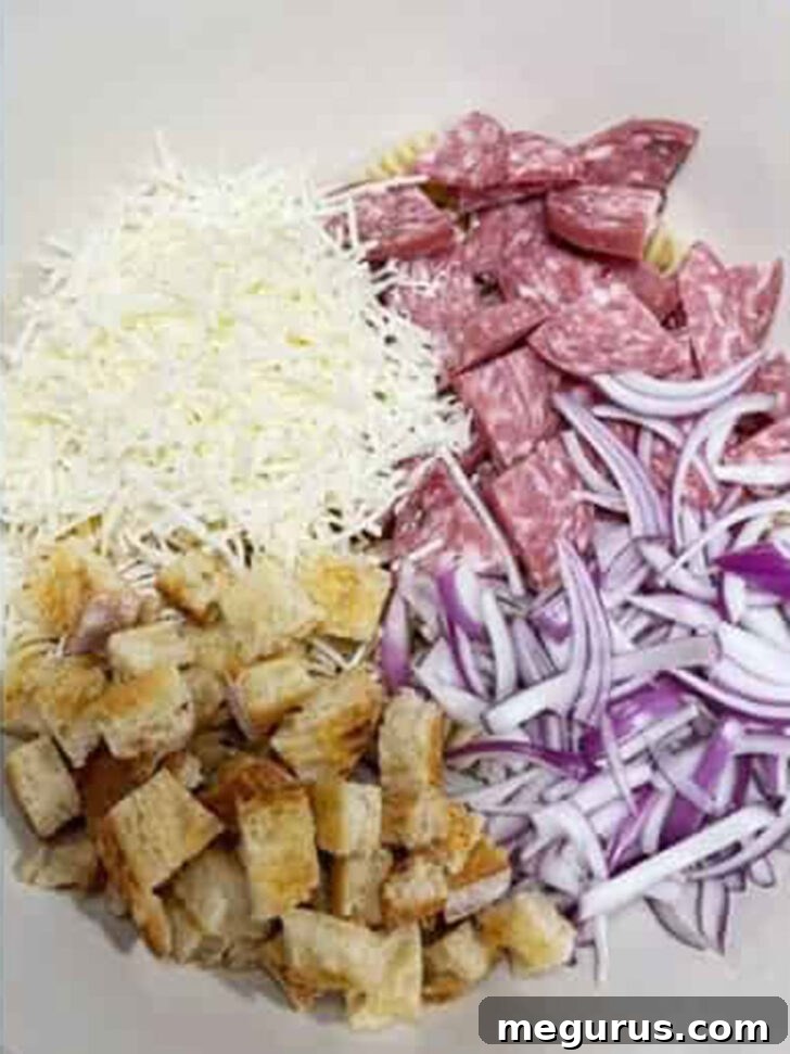 Salami, red onion, Parmesan and croutons added to the salad bowl.