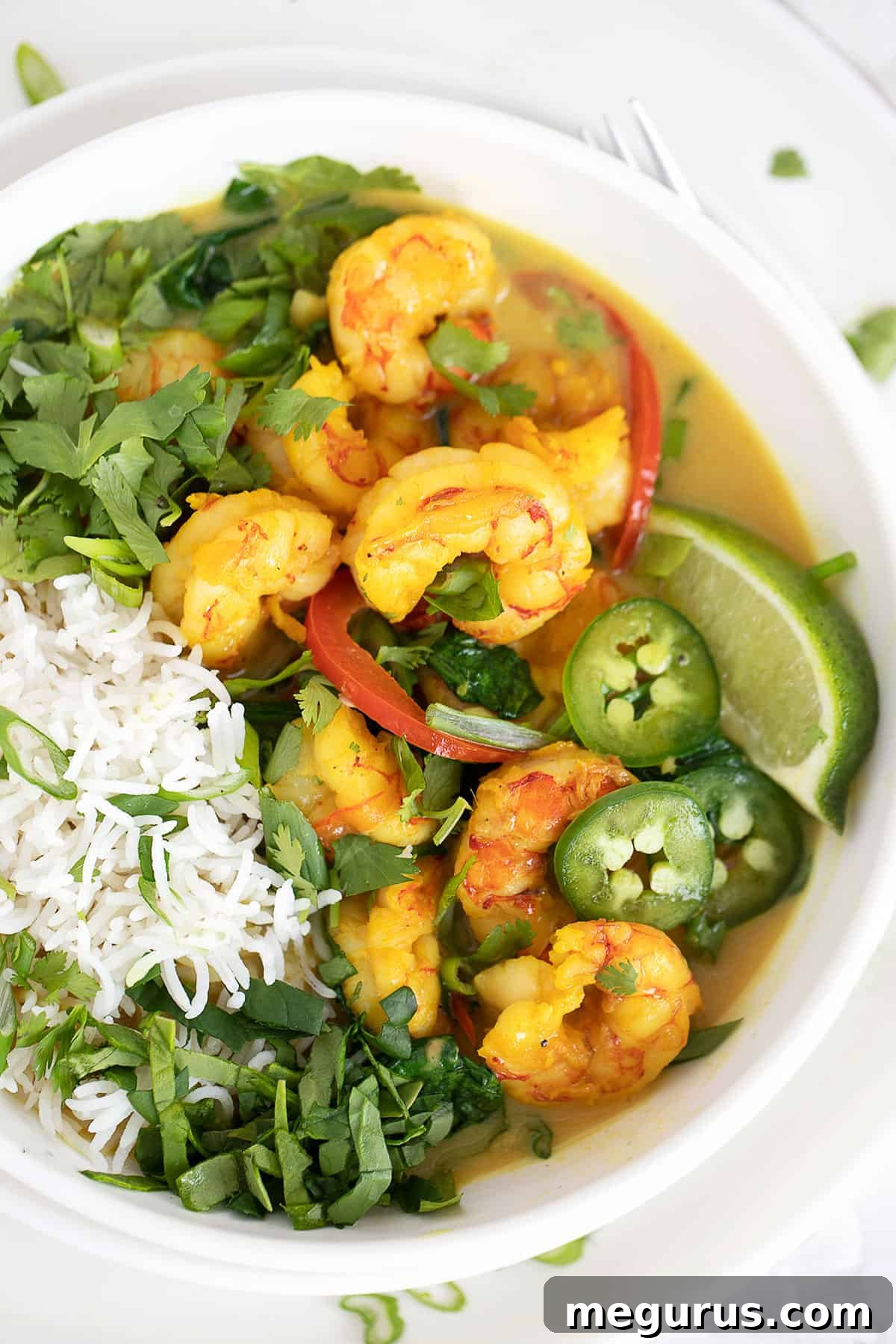 Close-up of ginger garlic turmeric coconut shrimp served in a white bowl with rice, garnished with green onions and cilantro.