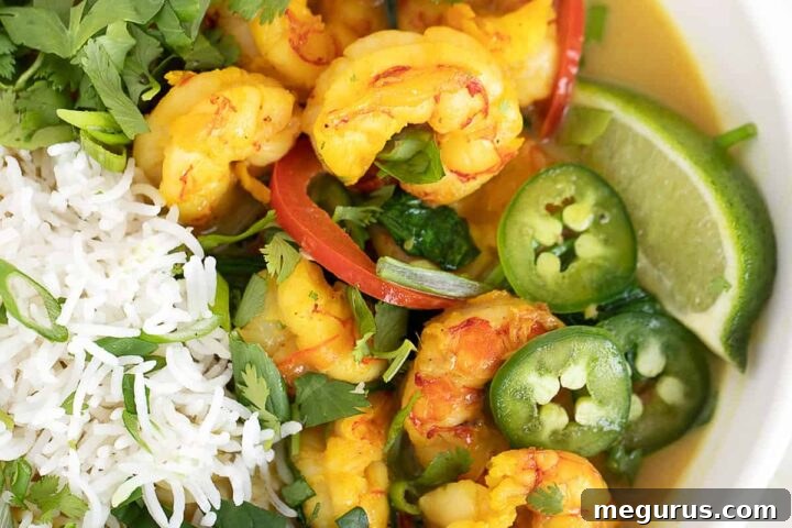 Shrimp with coconut milk and rice in white bowl