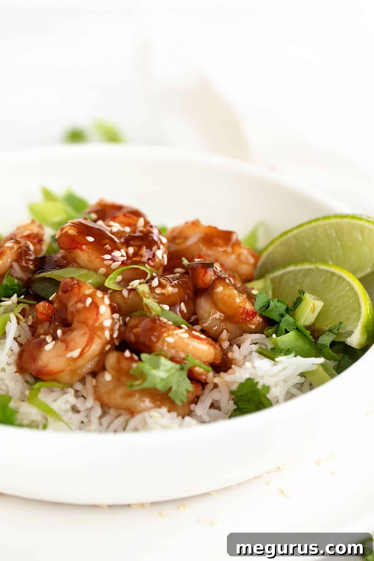 Close-up of a beautifully plated honey garlic shrimp bowl with rice and green onions, ready to be enjoyed.