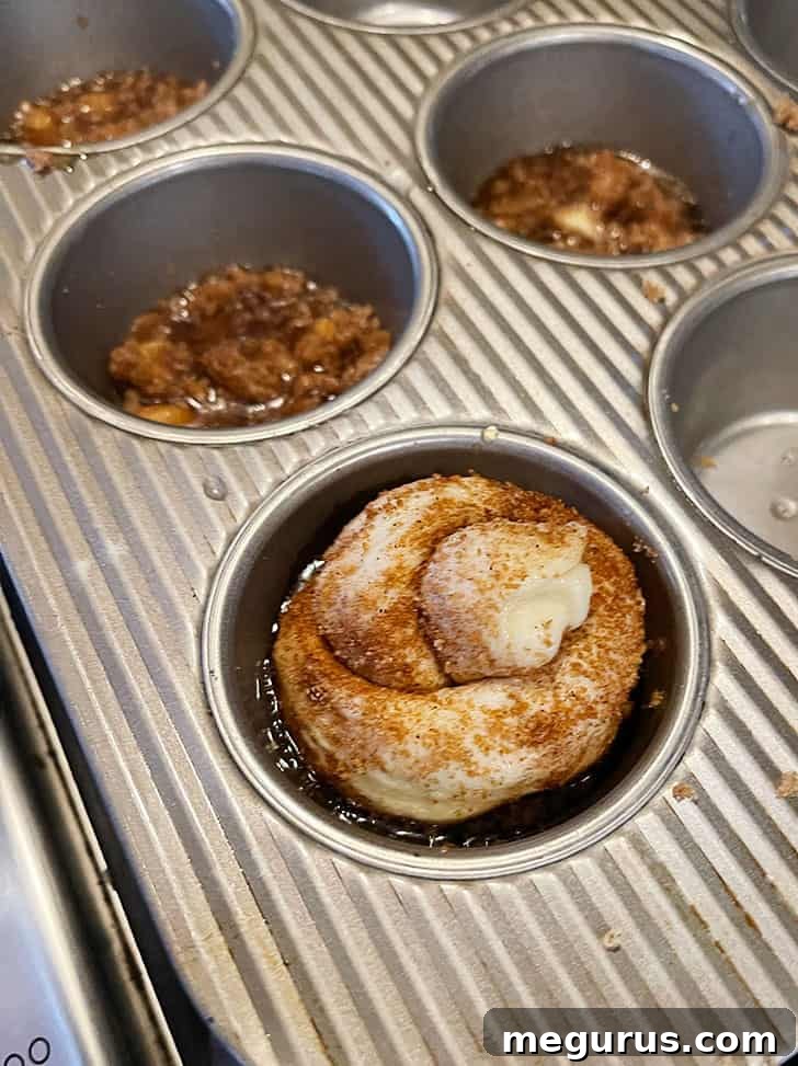 Shaped dough knots placed into muffin cups with brown sugar mixture, ready for final rise