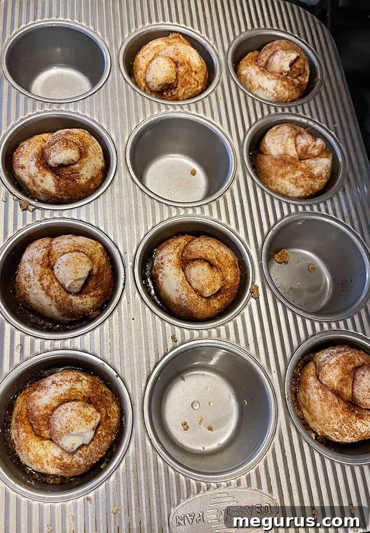 Knots rising in the muffin tin before baking, visibly puffy and expanded
